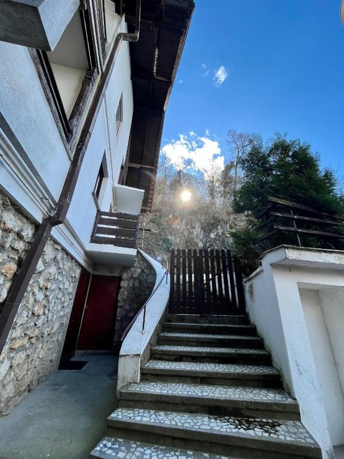 Timi Residence Braşov Dış mekan fotoğraf