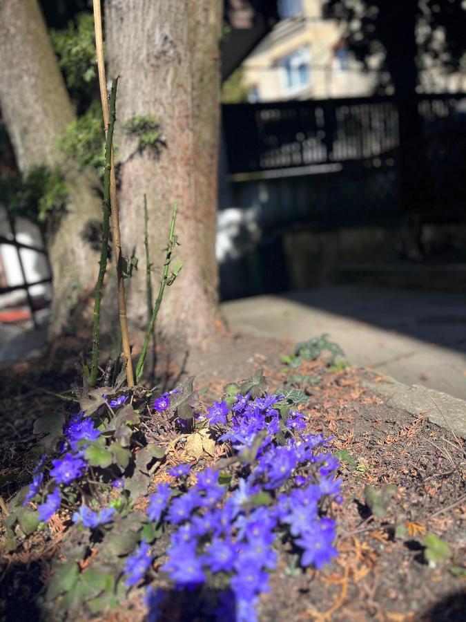 Timi Residence Braşov Dış mekan fotoğraf
