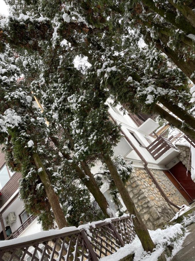 Timi Residence Braşov Dış mekan fotoğraf