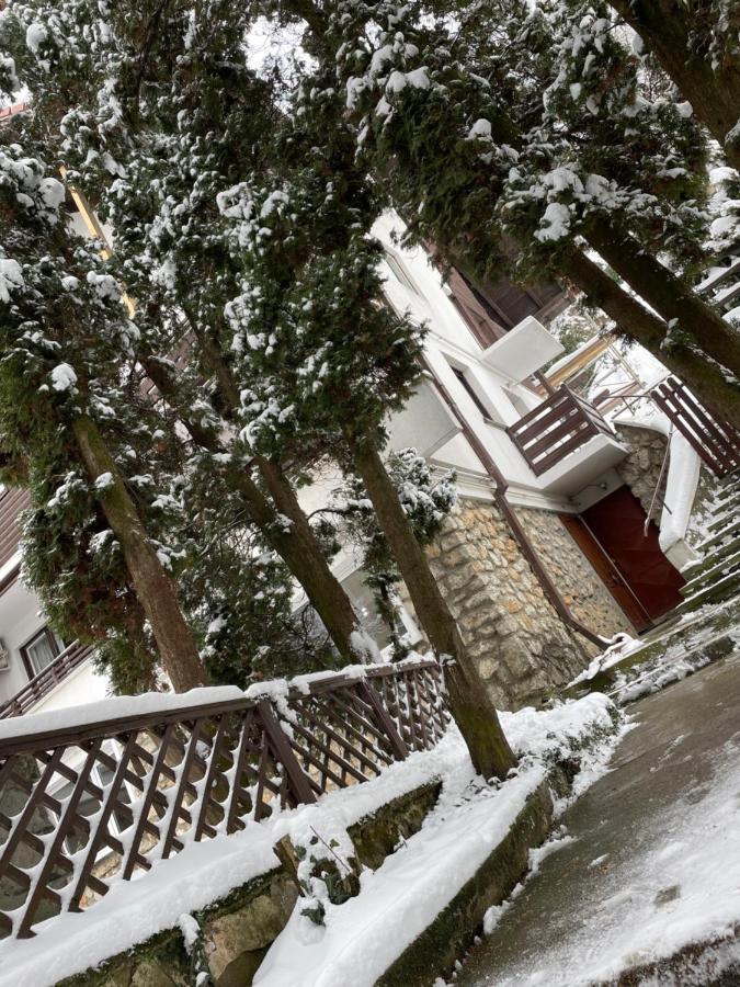 Timi Residence Braşov Dış mekan fotoğraf