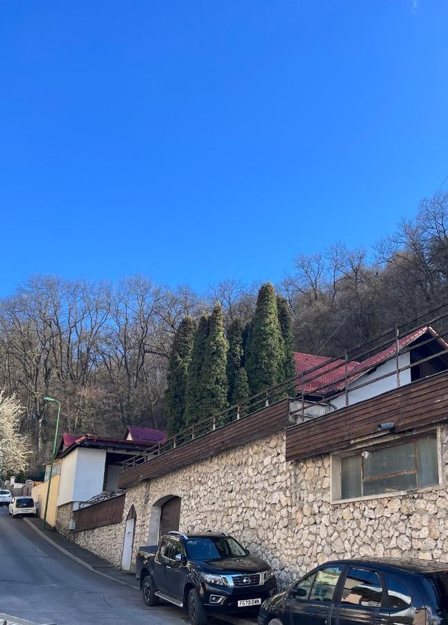 Timi Residence Braşov Dış mekan fotoğraf